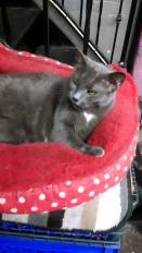 11713198_871068056299071_1481854557_o